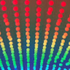 Meet your Posher, Hyunsoo kate